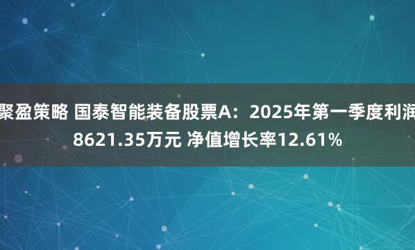 聚盈策略 国泰智能装备股票A：2025年第一季度利润8621.35万元 净值增长率12.61%