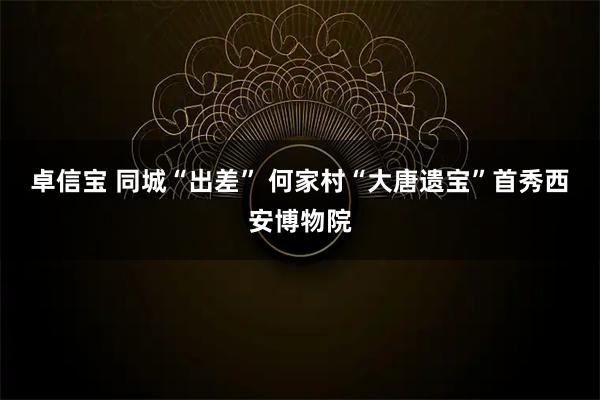 卓信宝 同城“出差” 何家村“大唐遗宝”首秀西安博物院