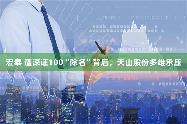 宏泰 遭深证100“除名”背后，天山股份多维承压