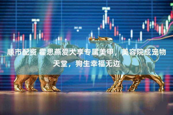 顺市配资 霍思燕爱犬享专属美甲，美容院成宠物天堂，狗生幸福无边